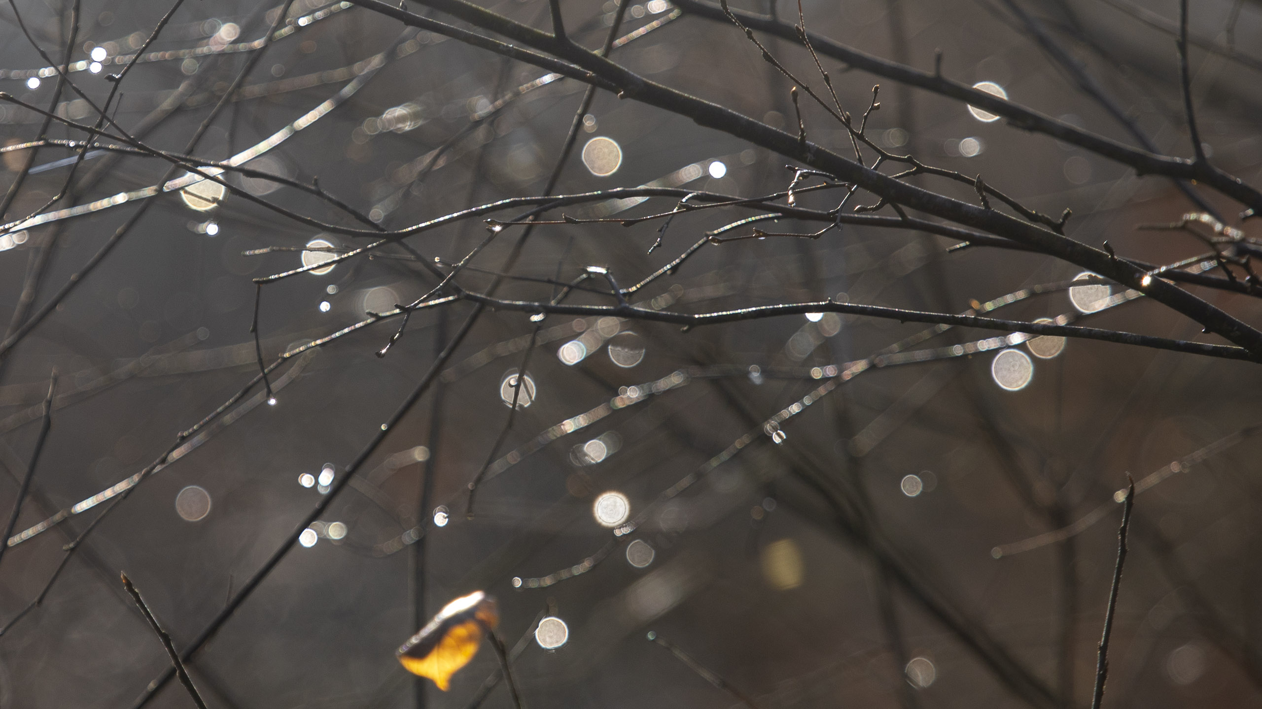 20251129122756 RD4 0854